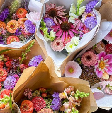Blooms.png