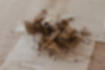 mist 4.JPG