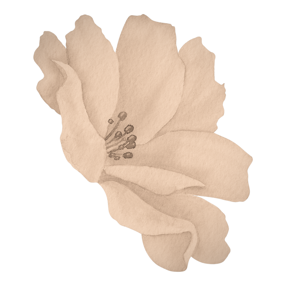 Pink Watercolor Flower