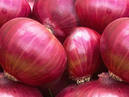 Onion Distributors Ensure Enough Supply of Green & Sweet Onions in Every Season
