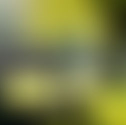 quiet bench in an Edinburgh park