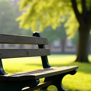 quiet bench in an Edinburgh park