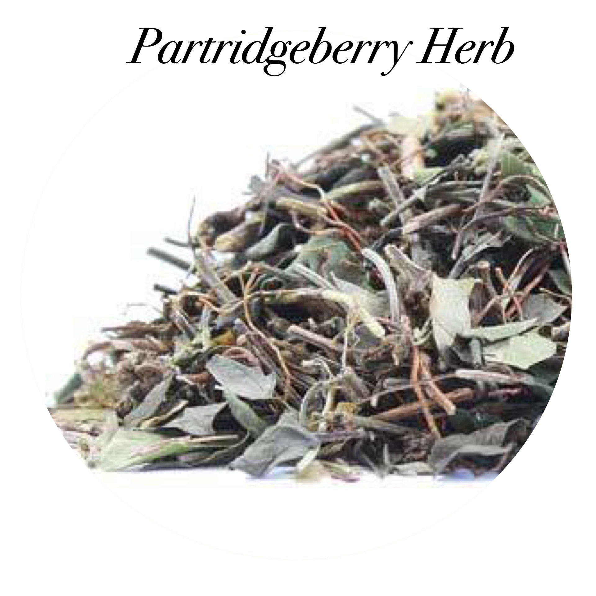 Partridgeberry Herb