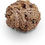 Thumbnail: Rose of Jericho
