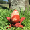 Thumbnail: Red Jasper Yoni Egg