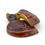 Thumbnail: Organic Red Reishi Mushroom