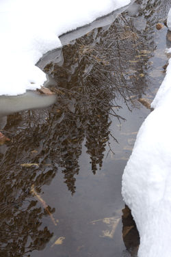 Уральские отражения