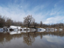 Отражение Жизни