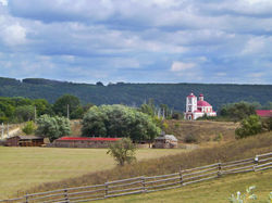 ЗаДонские леса