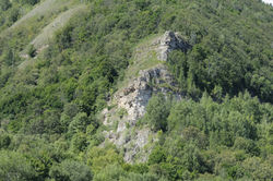 Гора Верблюд