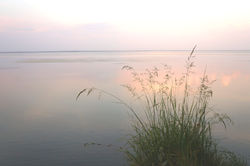 Безмятежность