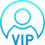 VIP and Delegates.png