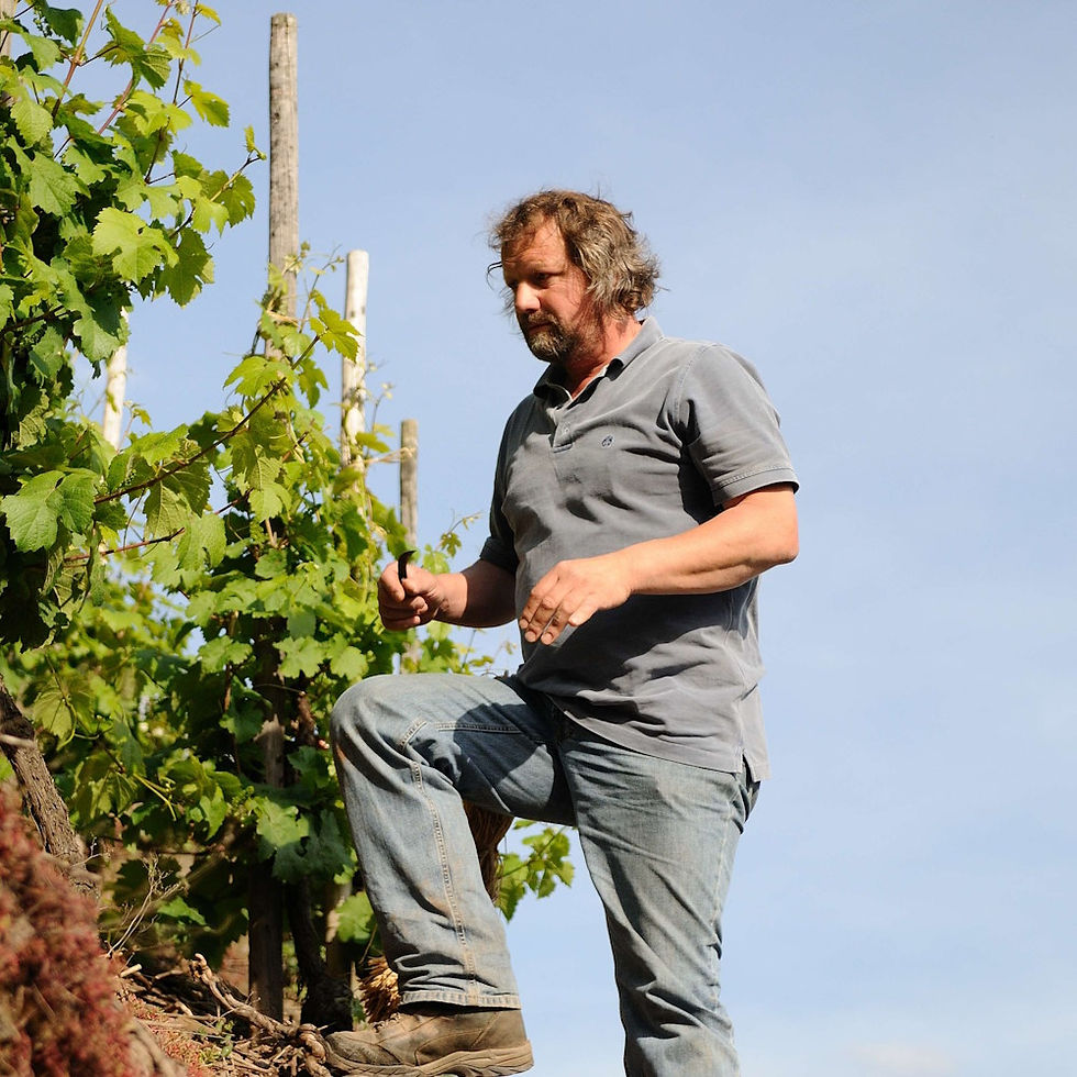 Weingut Clemens Busch