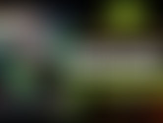 Froschschenkel an Wildkräutersalat und königliche Geheimnisse vom Anno Domini