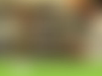 Gambas con Ajo - Ralf Müller zu Gast bei Daniel Fischer mit einem Geist der verbindet ... 