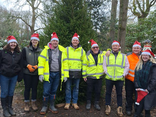 Buxton volunteers bring festive magic to Winkworth Arboretum