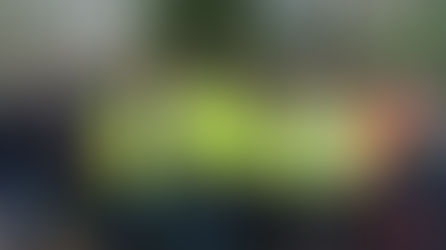 Buxton volunteers bring festive magic to Winkworth Arboretum