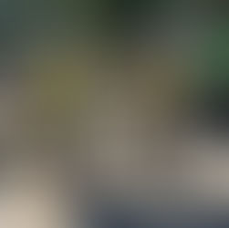 Final stages on site at Winkworth Arboretum.