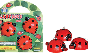 Lady-Bugs.png
