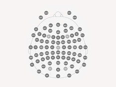 EEG Features for Comprehensive Brain Analysis