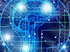 The future of AI in Neuroscience