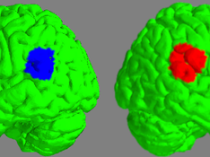 Out of body experiences - neural engineering informs brain sciences