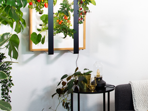 Kräuter ohne Balkon – Indoor-Gärten für die Küche | Myriad