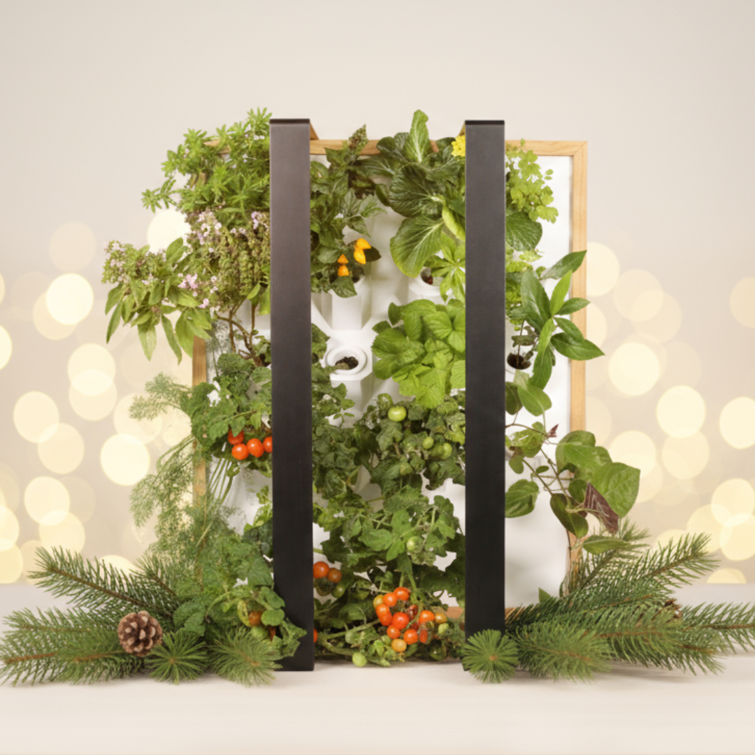 Myriad Garten - Winter Edition