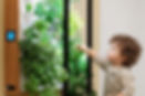 garden with with herbs_edited.jpg