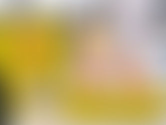 🐓友達からの贈り物🐓