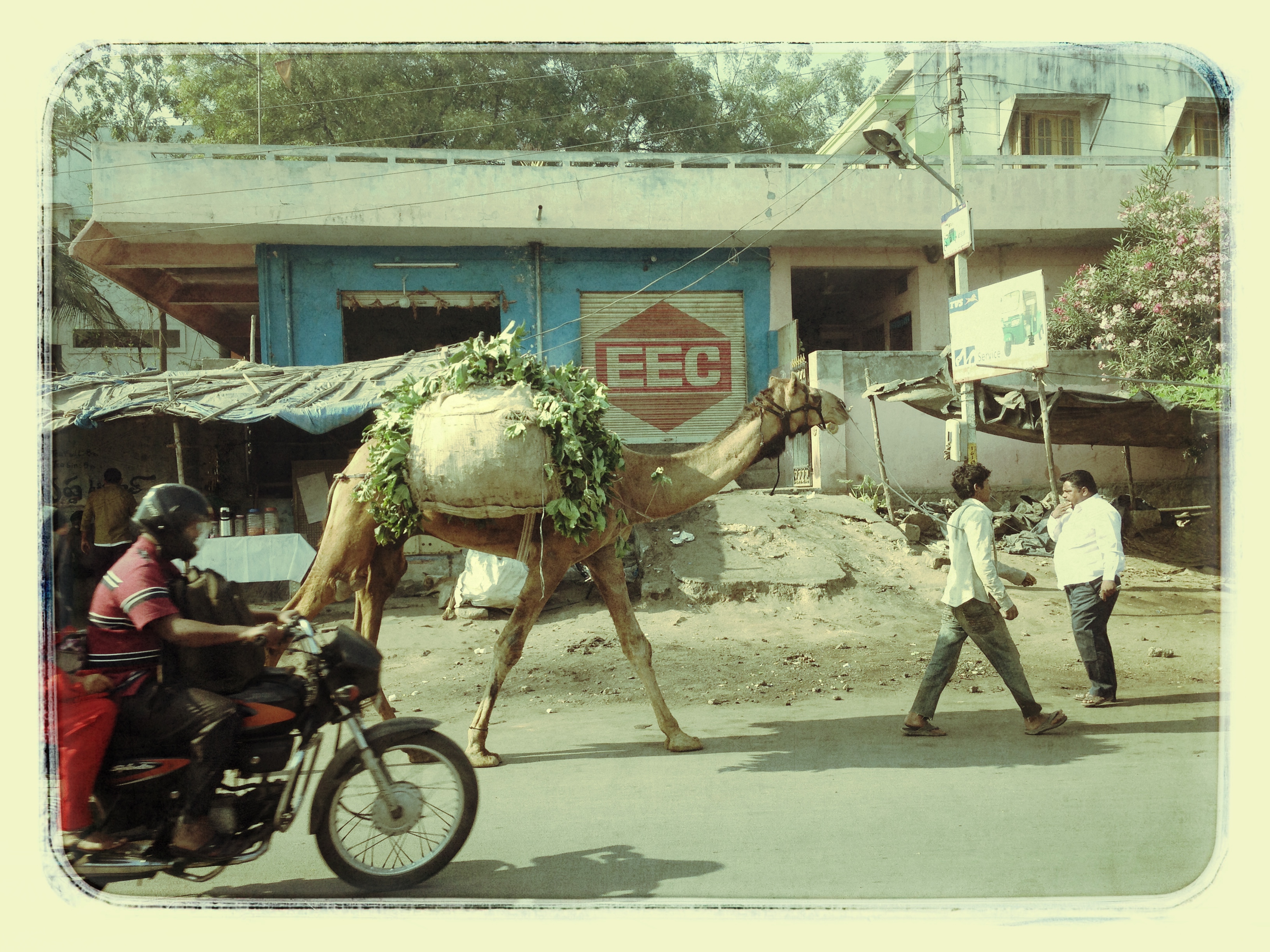patna | india | 2013