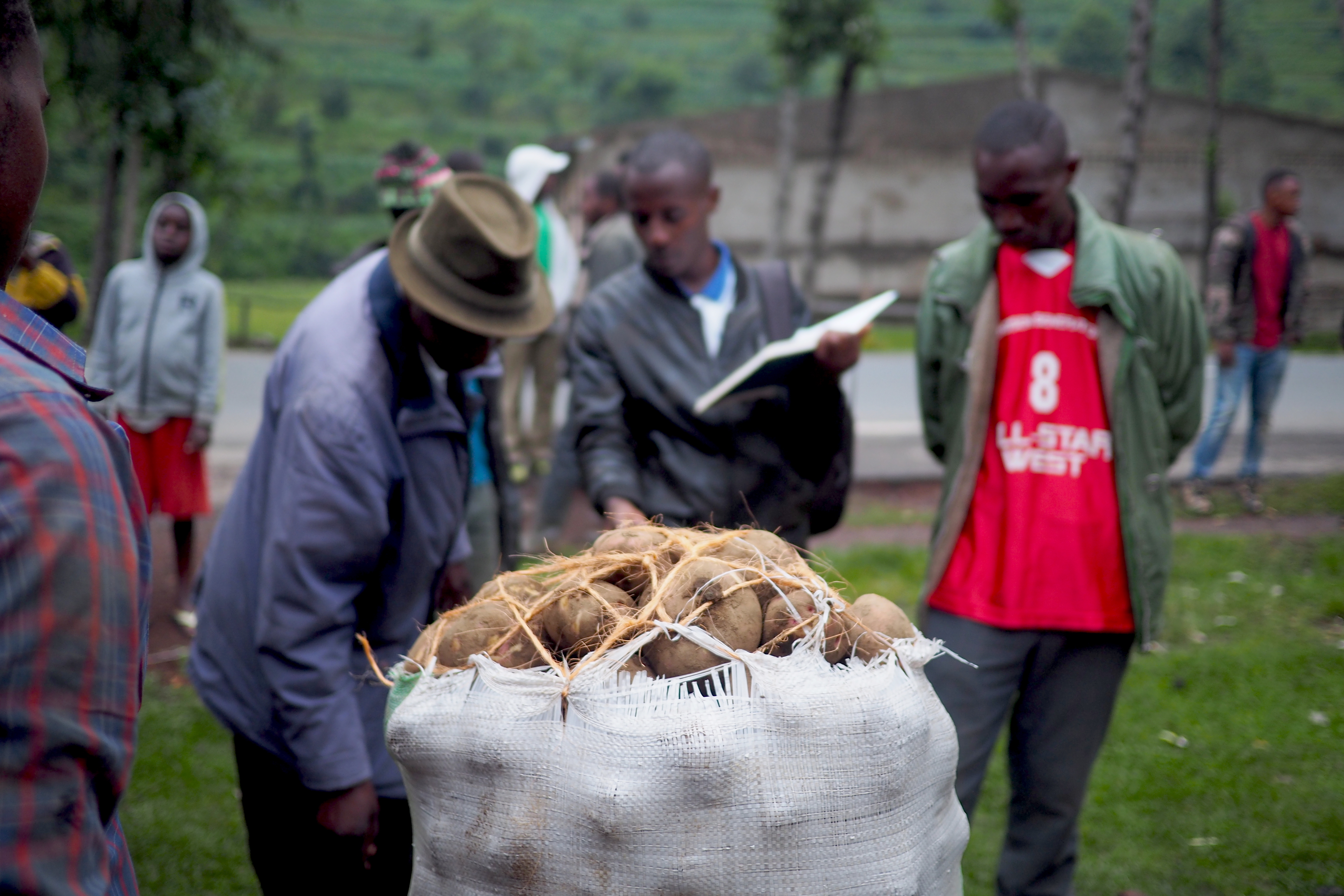Potato Farmers of Rwanda | IFAD