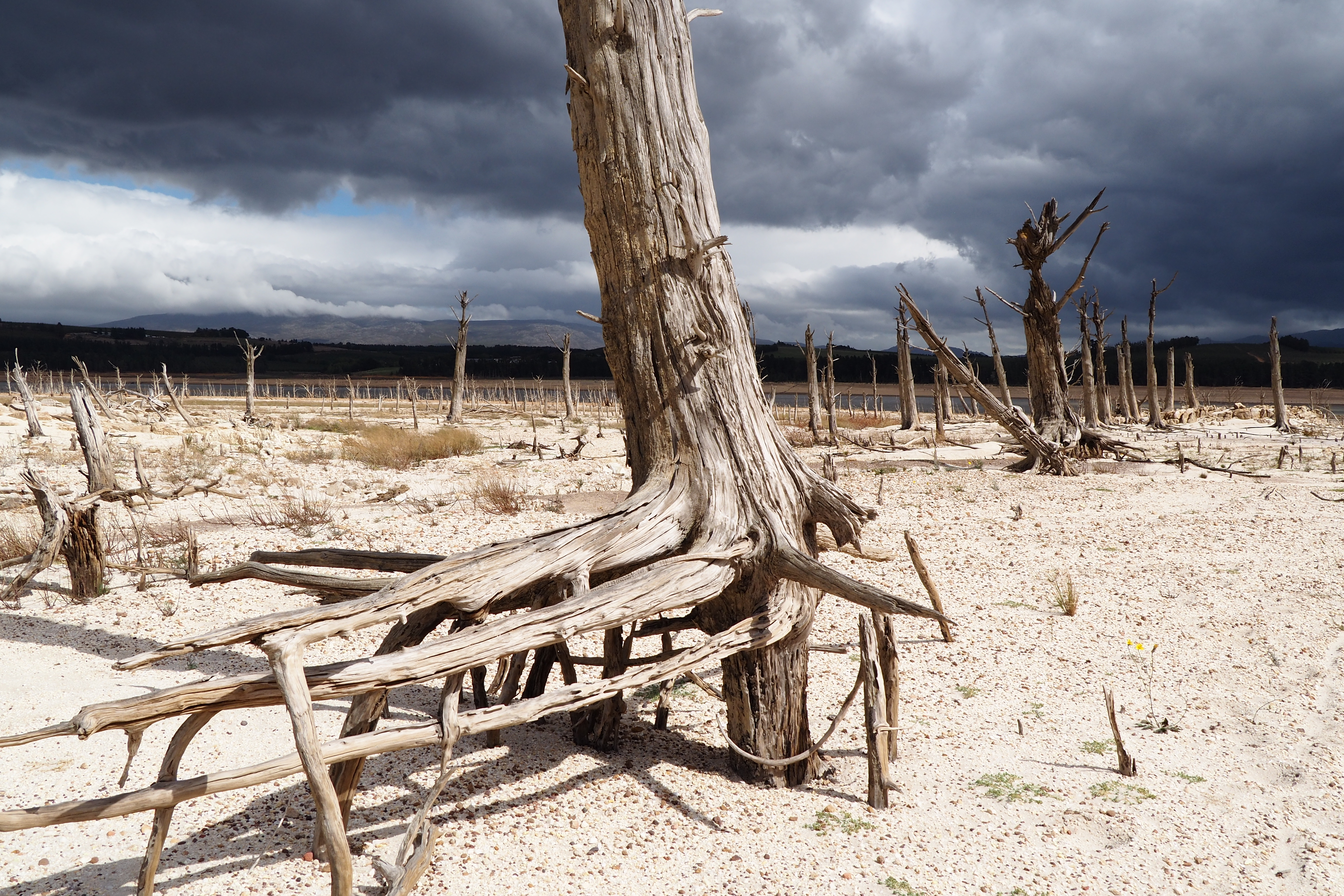Drought | Theewaterskloof Dam | 2017