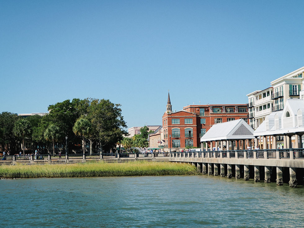 Waterfront scene with palm trees, grass, a pier, red-brick buildings, and a steeple. Clear blue sky and people strolling. Calm atmosphere.