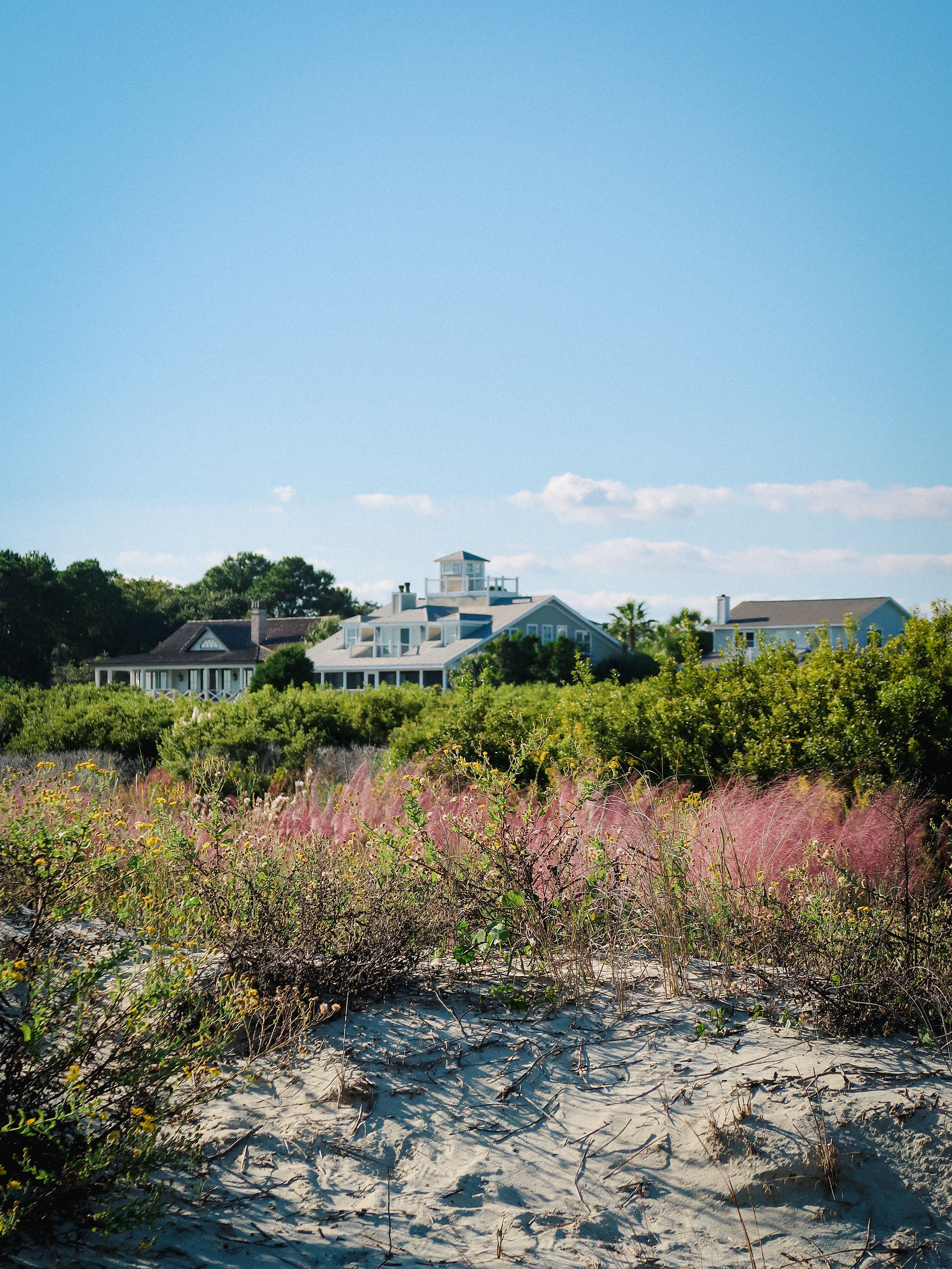 a blue sky day with a beach house and purple grass in the dunes