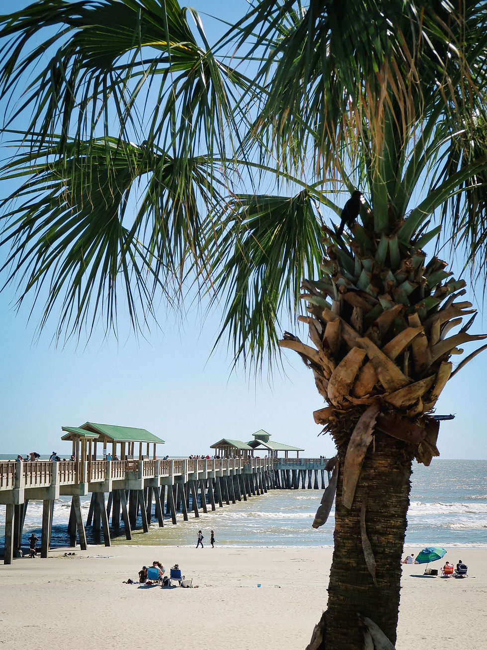 Beach scene with palm tree in foreground, pier extending over ocean. People walking on sand, green roofed structures over water, clear sky.