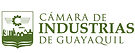 LOGOS CAMARA 1_Mesa de trabajo 1.jpg