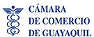 LOGOS CAMARAS 3_Mesa de trabajo 1.jpg