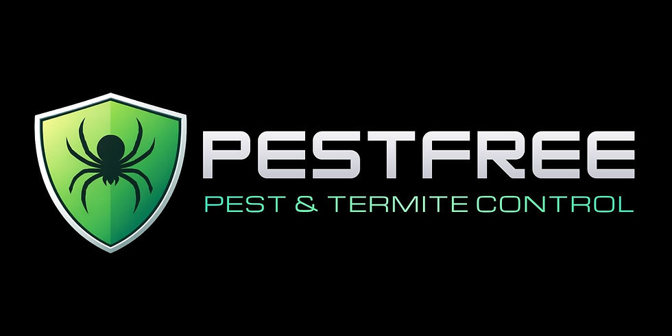 Original Business Card_Letterhead Logo.jpg