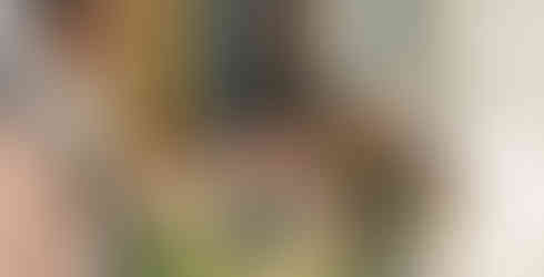 Photography:Haley Braddy Photography  Venue:Magnolia Manor 1843 Wedding Venue  Planning:Party Perfection Weddings + Events  Floral & Event Design:Grace & Ivy Floral   Design: Hair & Makeup:Halo Salon   Dress: Thornbury Brides   Dress Designer :Pronovias   Jewelry:Aster Maeve   Menswear:Mens Wearhouse   Grooms Bowtie:Brackish   Rentals:Charming & Quaint Event Rentals   Linens: Nuage Designs   Day of Paper & Signage:Fete & Quill   Catering & Bar:Vine Catering Company   Cake:Famous Baking Company   Cookies:  L C Design Co.