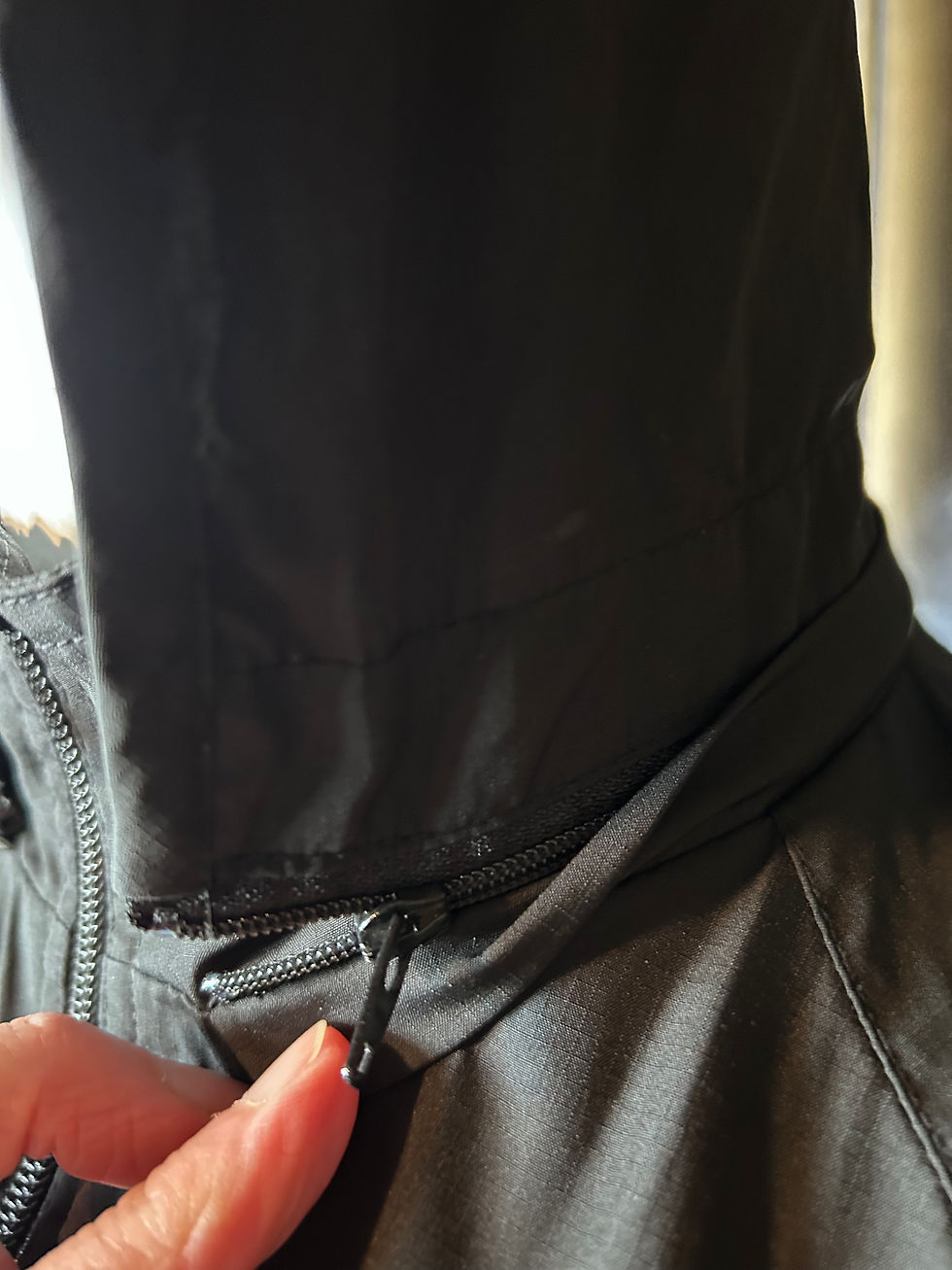 Miniature : Blouson Lacoste