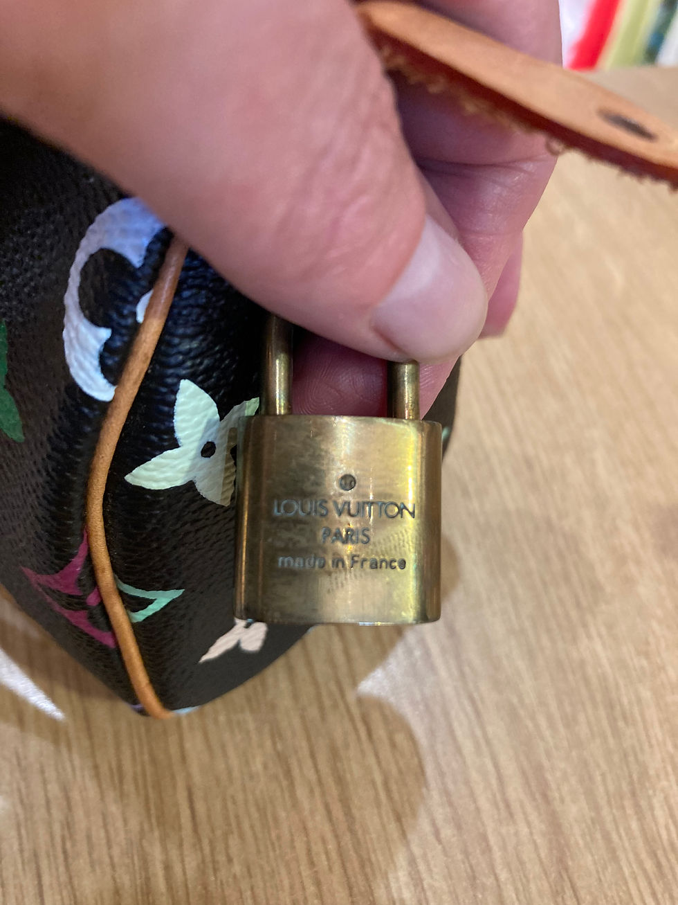 Miniature : Sac Vuitton modèle Nano