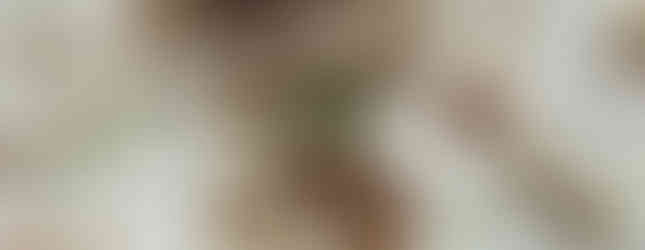 Sweetbar, svatební fotograf Eva Mencnerová