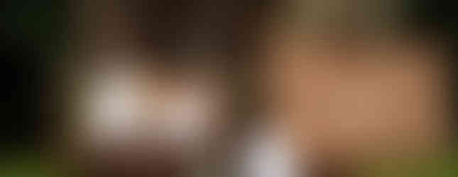 Fotokoutek. Svatba v přírodě s výhledem na hory, Petřvald, Vrtule. Svatební fotograf, svatební fotografka, Ostrava, Moravskoslezský kraj, Frýdek, svatební šaty, svatební prstýnky, svatební dort, svatební kytice, zelená