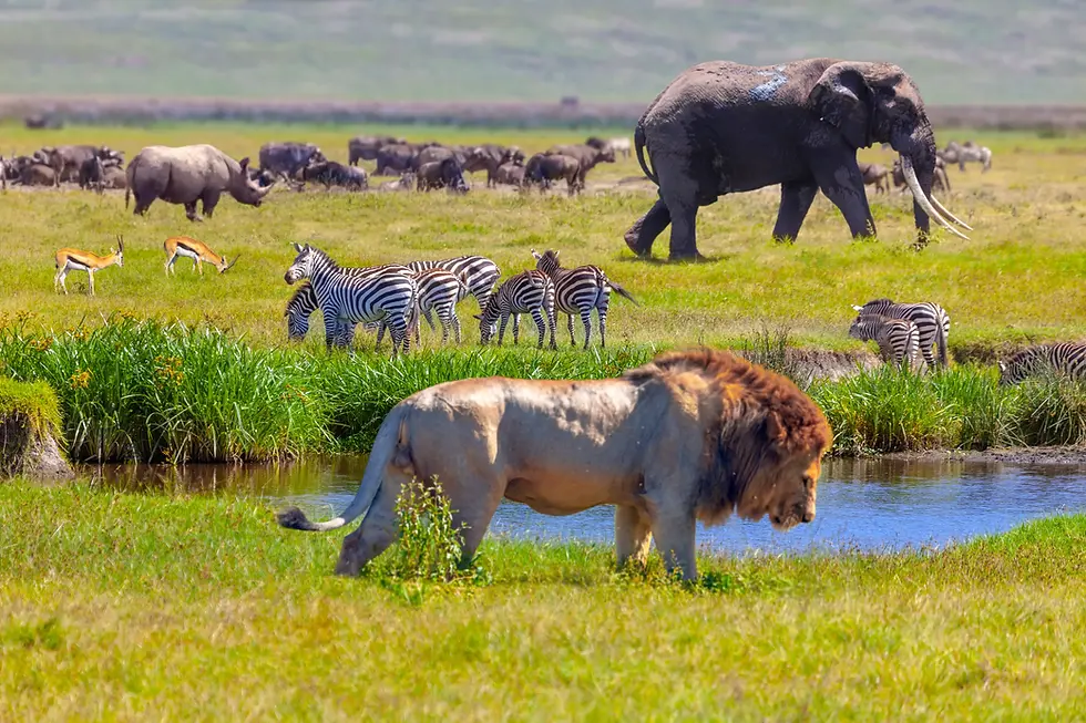 Preserving Biological Diversity