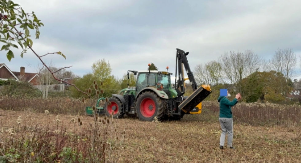 Photo taken during land clearance 26th November, 2025