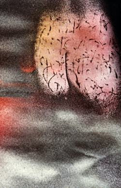 dia 26 de fevereiro009_edited