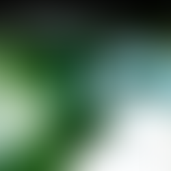 CRASA Infraestrutura quer se consolidar como empresa carbono neutro