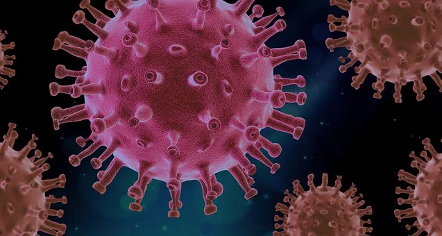 Picture of Covid virus