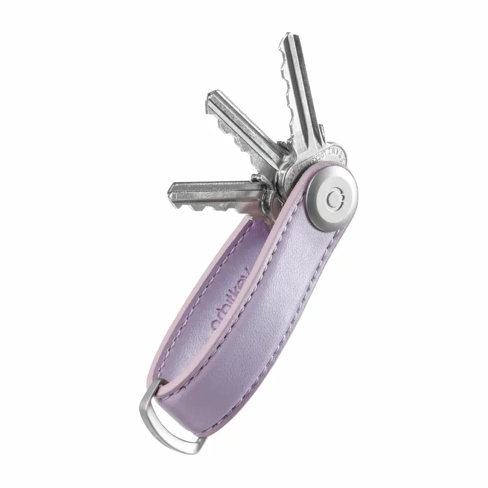Kaktus Lavender
